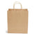 Kraft Paper Bags w/ Handles