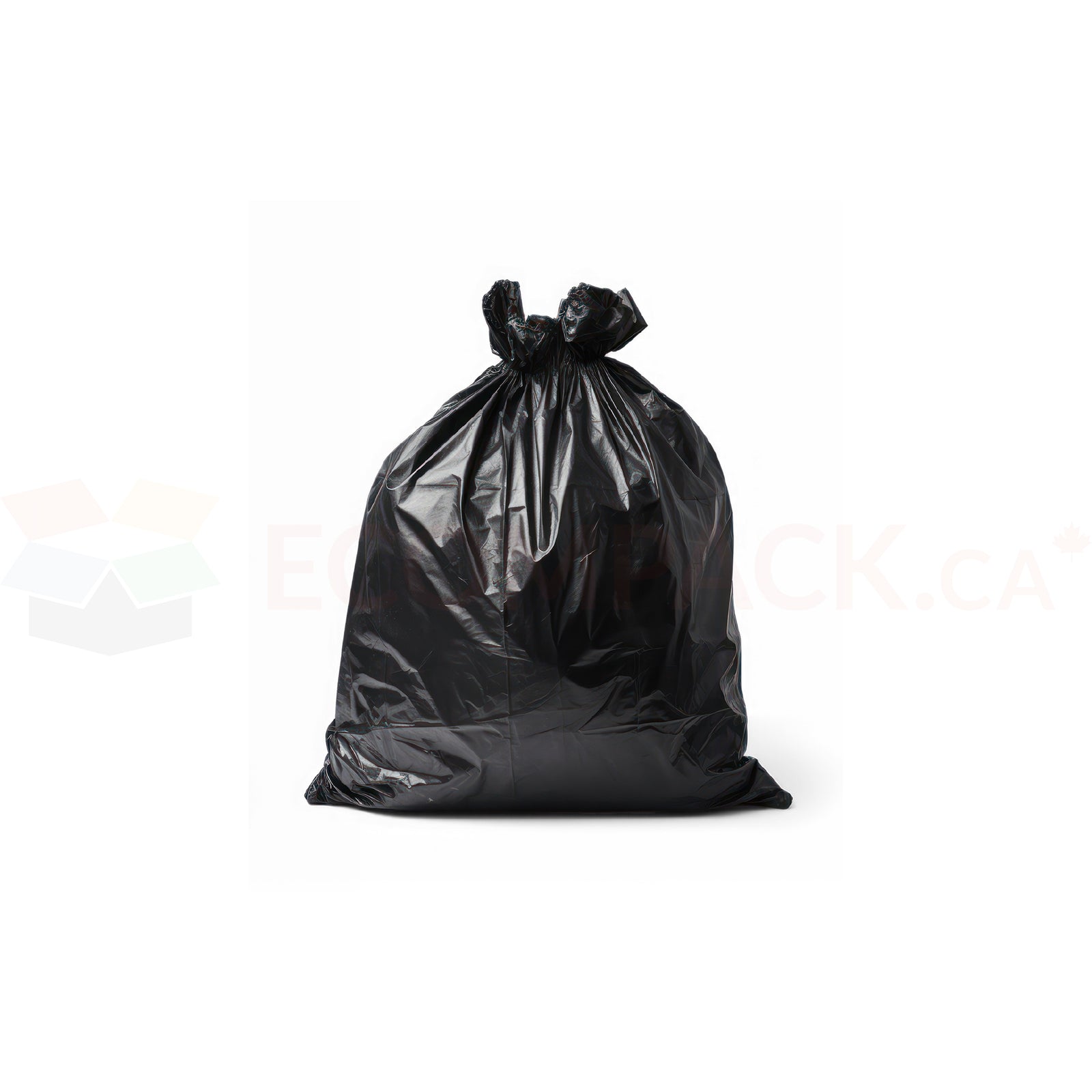 Black Garbage Bags Regular 24" x 22" (500/cs)