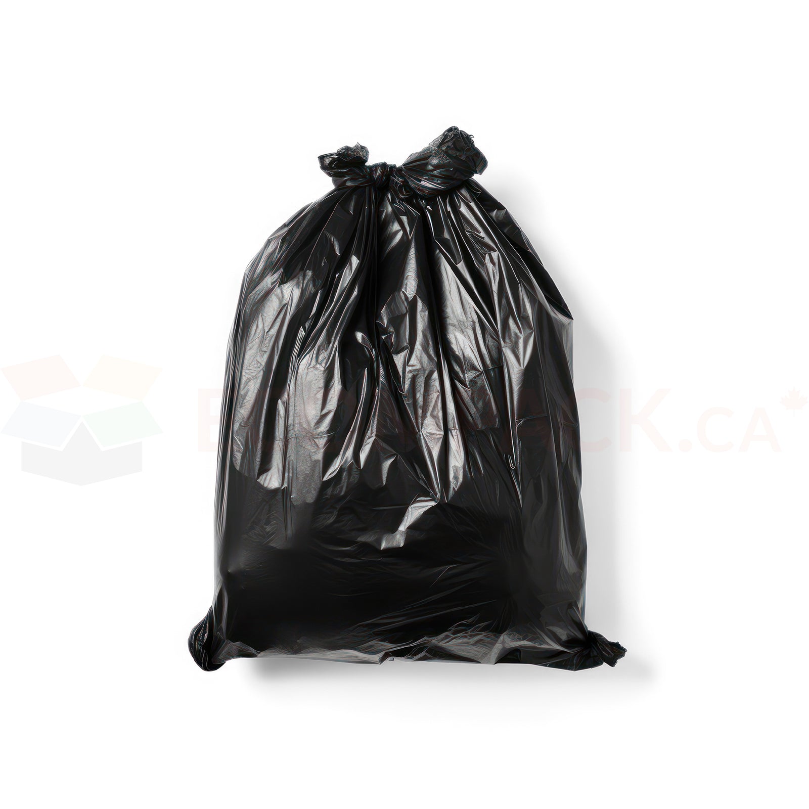 Black Garbage Bags Regular 30" x 38" (250/cs)